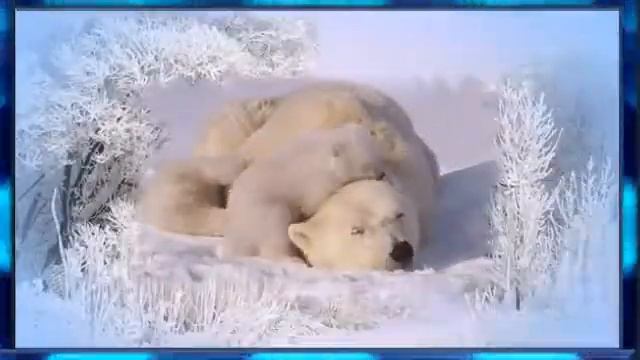 Где-то на белом свете- Аида Ведищева смотреть онлайн