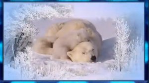 Где-то на белом свете- Аида Ведищева