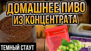 Как сварить пиво из концентрата? | Варка темного стаута из не охмелённого концентрата солода!