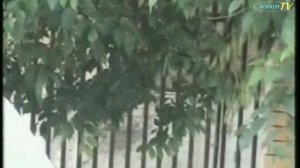 Центр Ачхой-Мартана 2005 Современный взгляд на прошлое