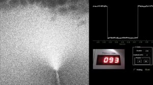 Two-Photon Targeted Whole-Cell Recordings