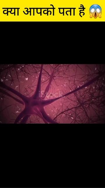 brain ka weight kitna hai। दिमाग का वजन कितना होता है दिमाग कब ज्यादा active रहता है। #short смотреть онлайн