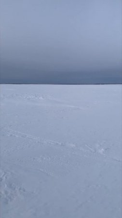 УЕЛГИ В ЯНВАРЕ.видос в монтаже.