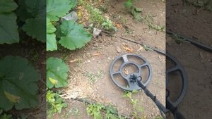 tarsacci MDT 8000 vs aka signum mfd and  vs white's tdi sl