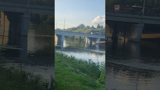 Река Пахра в парке смотреть онлайн