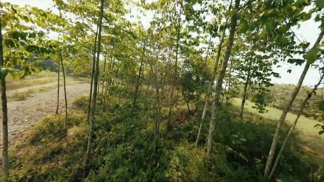 BETAFPV PAVO PICO MAIDEN / DJI O3 2.7K GYROFLOW смотреть онлайн