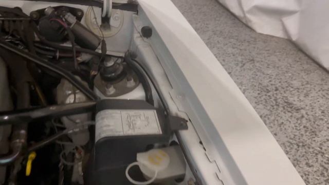 1989 Saleen Mustang walk around смотреть онлайн