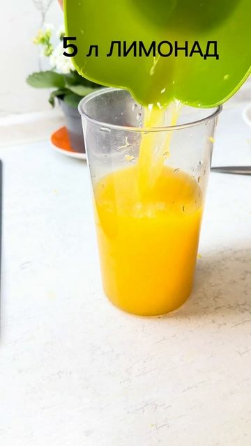5 л Лимонад из 4 апельсинов