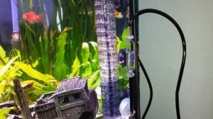 JBL CO2 Reactor Proflora Taifun + Reactor Extended module CO2