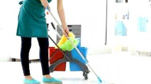 29 “HOME CLEANING SERVICE”