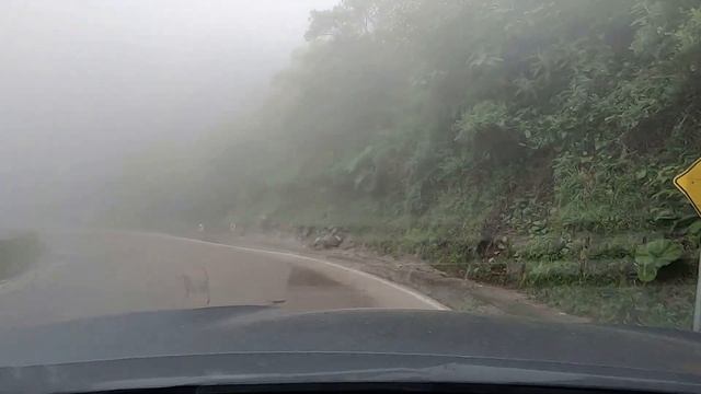 VIAJE A SIERRA DO RIO DO RASTRO ( BRASIL)🚗😊