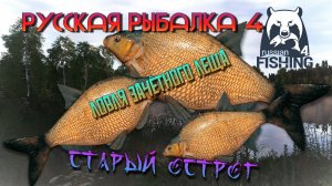 🎣ЛОВЛЯ ЛЕЩА🐟 НА СТАРОМ ОСТРОГЕ🔥 РУССКАЯ РЫБАЛКА 4🎣