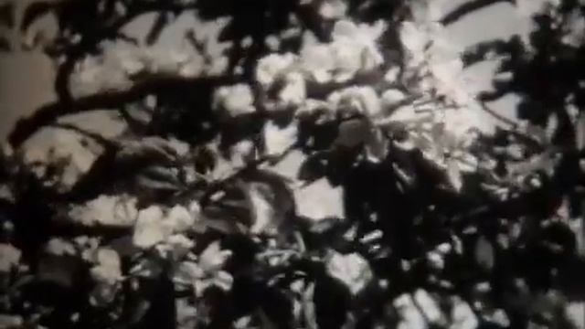 Вода в природе (Леннаучфильм, 1977) смотреть онлайн