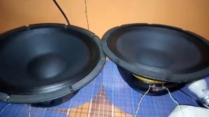 Sony xplod car amplifier xm-n1004 with 2× 12 inch woofers