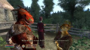 TES IV Oblivion [18]