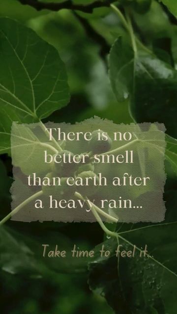 Rainy Thought... #quotes #motivation #rain #rainyseason #rainy #rainsounds #rainyweather