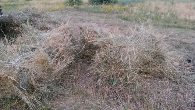 СЕНОКОС 2019. ВЫНУЖДЕННО ОСТАНОВЛЕН. смотреть онлайн