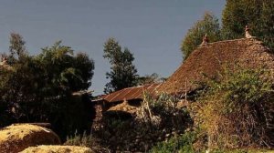 Tsehaye Yohannes - Tiru Ken - ፀሐዬ ዮሃንስ - ጥሩ ቀን - Ethiopian Music