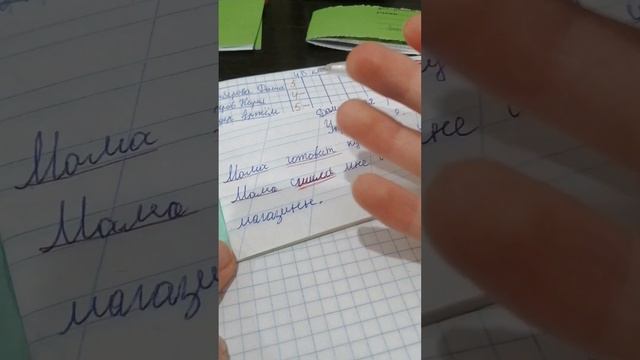 проверка тетрадей по русскому языку.📚👩🏫 смотреть онлайн