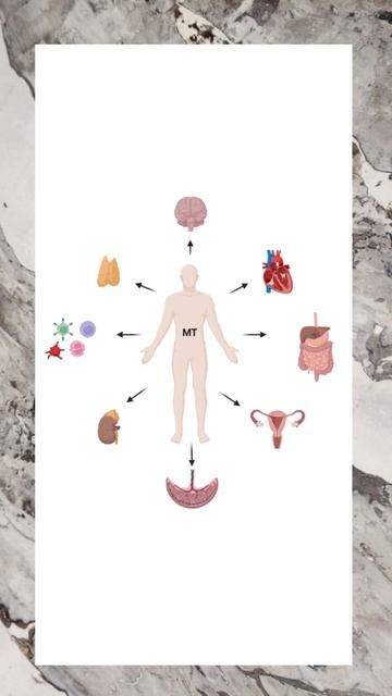 Гормон Мелатонин и его персональная функция смотреть онлайн