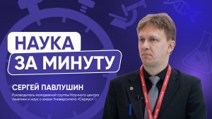 Как победить грозу полей и огородов — непарного шелкопряда и других насекомых-вредителей