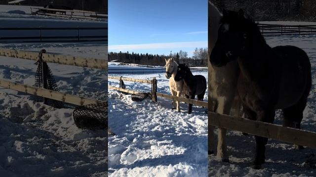 Гуляй не хочу места много смотреть онлайн