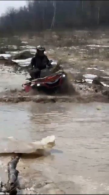 Sharmax Force 1100 EFI #motosnab#atv#offroad#reels#new#newvideo #newstatus#квадроцикл#moto#sharmax
