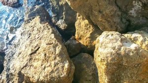 Video.Guru_20250124_220103086.mp4