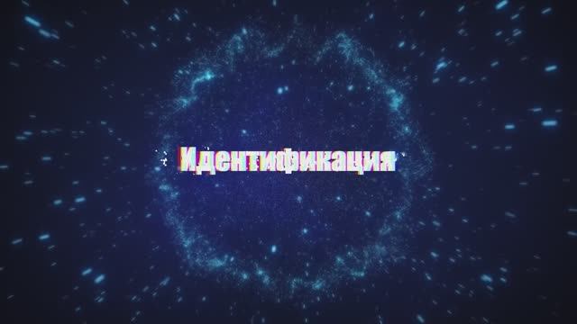 Светлана Феникс-Идентификация