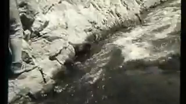 До Победного, тёплого мая ч1.wmv смотреть онлайн