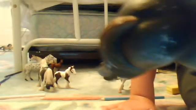 tour of clear view ranch смотреть онлайн