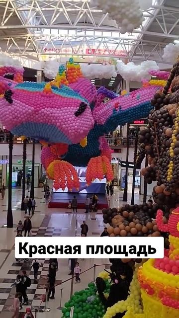 красная площадь в Краснодаре смотреть онлайн