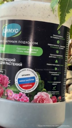 РЕАНИМАЦИЯ ФИКУСА!
