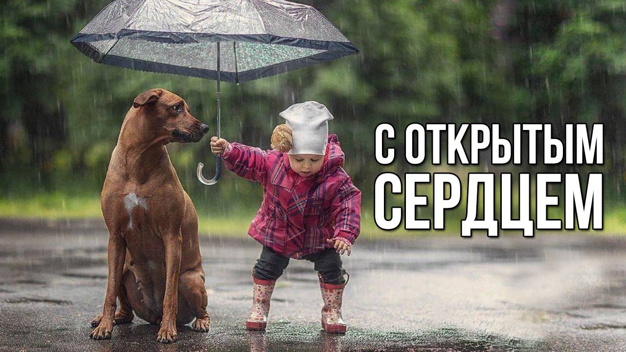 С открытым сердцем. «Вечерний Ейск» от 2025.01.24