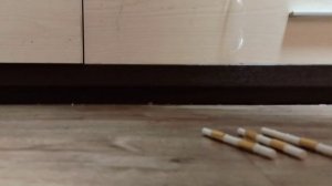 типы Шлях лошадей