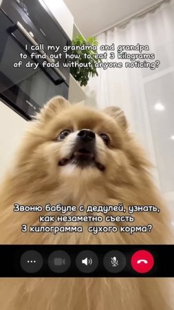 Звоню бабуле с дедулей #20