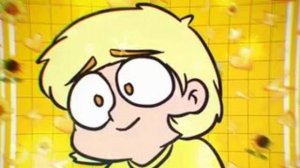 13 карт видио