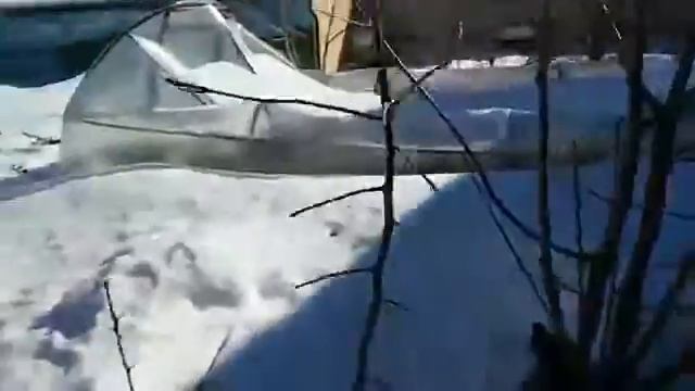 Теплица рухнула зимой смотреть онлайн