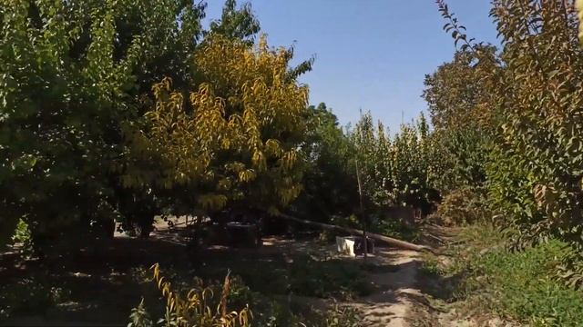 Khachverats Holiday celebration in Armavir village Armenia 12 september 2021 смотреть онлайн