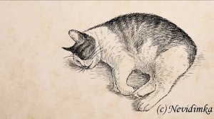Лоток для кота