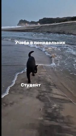 Новый семестр уже через 2 дня!