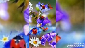 Сени бугун курмасам булмас