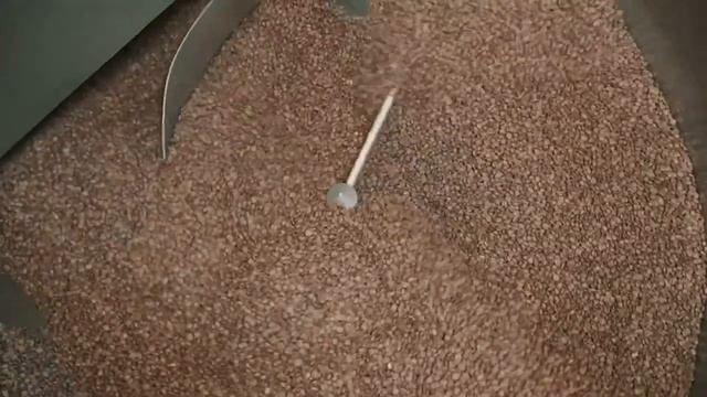 Coffee kzntea смотреть онлайн