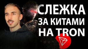 Кошельки Китов на TRON. Как Найти и Следить за Прибыльными Кошельками