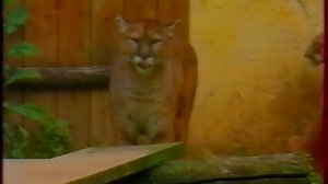 Путешествия натуралиста (1 канал, 2.11.2002) Мец