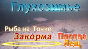 РЫБА ПРИШЛА НА ТОЧКУ ЗАКОРМА ЛЕЩ ПЛОТВА ОКУНЬ ВИДЕО ОХОТА РЫБАЛКА НА ХИЩНУЮ И МИРНУЮ РЫБУ НАПРИМАНКИ