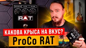 Какова КРЫСА на ВКУС? ProCo RAT (оригинал + клоны + цифра)