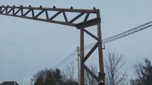 Прямостенный ангар 10 м. Каркас для самостоятельной постройки- сэндвич панель или проф лист.