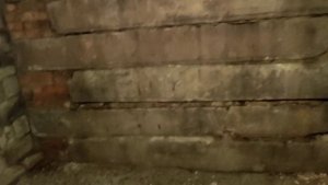 video_2025-01-24_Л5-404