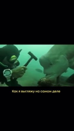 КАК Я ДУМАЮ Я ВЫГЛЯЖУ СО СТОРОНЫ